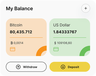 Braven Fundmere trading automation platform dashboard overview